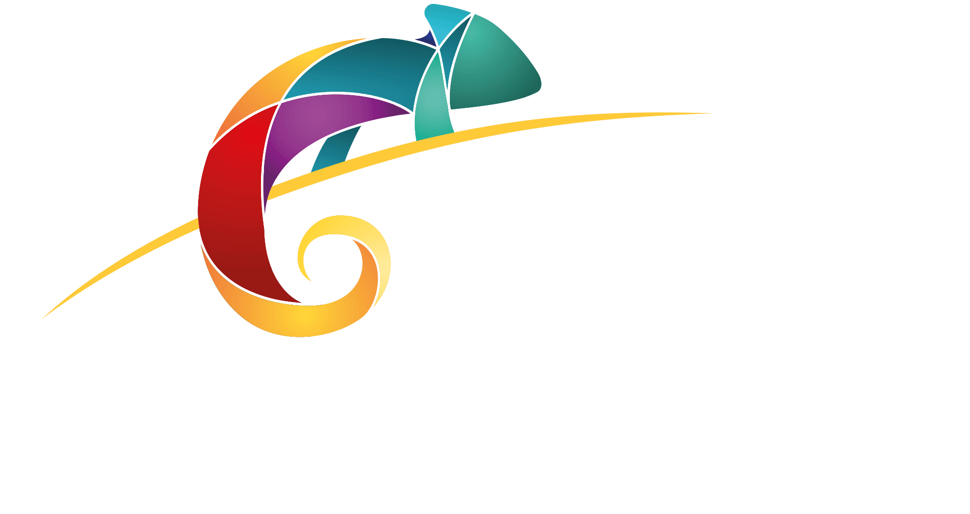 Lidersan Flexible